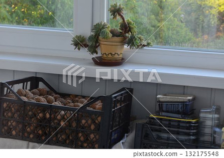 small plant pot in the home interior small plant pot in the home interior 132175548