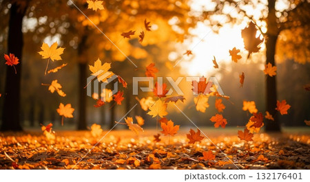 Autumn Leaves Falling with Golden Sunlight in Forest Park 132176401