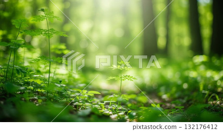 Bright Green Forest Floor with Lush Foliage and Sunlight 132176412