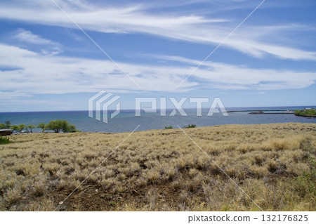 Views of grasslands and sparkling ocean on the Big Island of Hawaii Views of grasslands and sparkling ocean on the Big Island of Hawaii 132176825