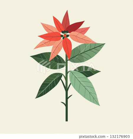 Stylized red poinsettia flower with green leaves on beige background. 132176903