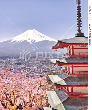 新倉山淺間公園的櫻花與忠塔,背景是富士山-日本的春天風景 新倉山淺間公園的櫻花與忠塔,背景是富士山-日本的春天風景 132176982