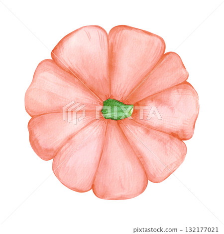 Hand drawn watercolor orange pumpkin. Autumn illustration isolated on white background. Can be used for postcard, label and other printed products. 132177021