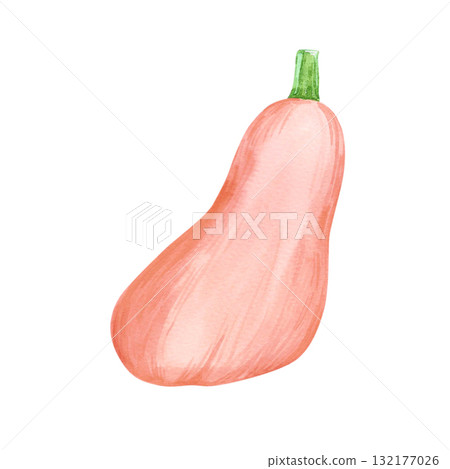 Hand drawn watercolor orange pumpkin. Autumn illustration isolated on white background. Can be used for postcard, label and other printed products. 132177026