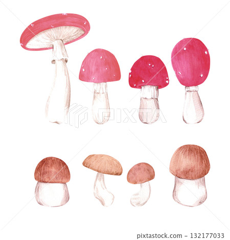 Hand drawn watercolor amanita and boletus mushrooms. Illustration of fungi isolated on white background. Can be used for postcard, label and other printed products. 132177033
