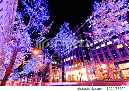 [Osaka Prefecture] Midosuji Illumination 132177851