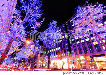 [大阪府]禦堂筋燈飾 132177852