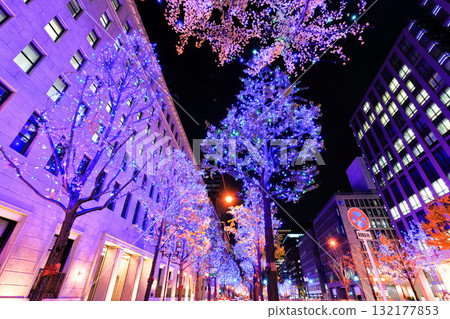 [大阪府]禦堂筋燈飾 132177853