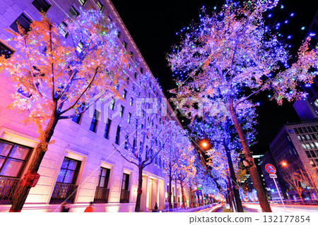 [Osaka Prefecture] Midosuji Illumination 132177854