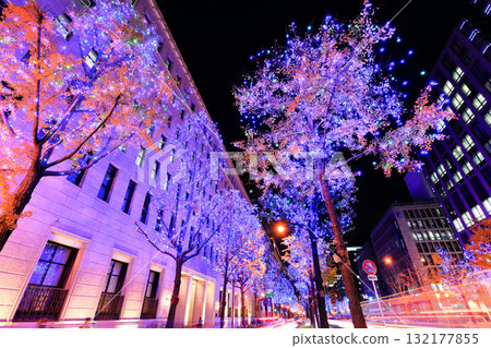 [Osaka Prefecture] Midosuji Illumination 132177855