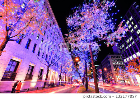 [大阪府]禦堂筋燈飾 132177857