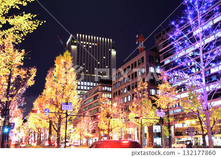 [大阪府]禦堂筋燈飾 132177860