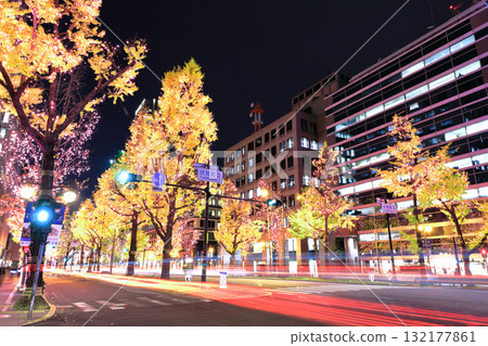 [大阪府]禦堂筋燈飾 132177861