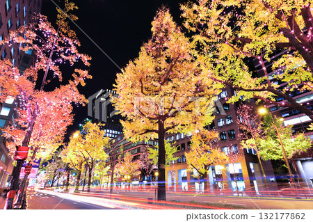 [大阪府]禦堂筋燈飾 132177862