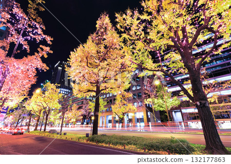 [大阪府]禦堂筋燈飾 132177863