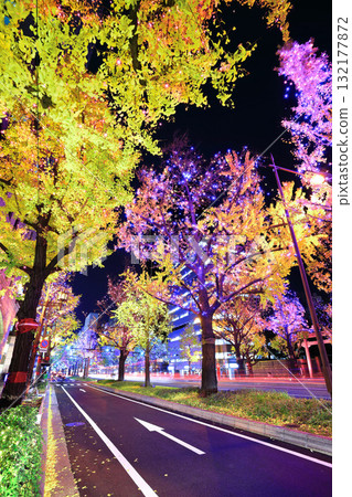[Osaka Prefecture] Midosuji Illumination 132177872