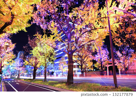 [大阪府]禦堂筋燈飾 132177879