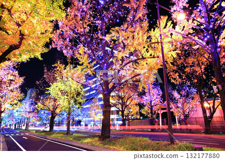 [Osaka Prefecture] Midosuji Illumination 132177880