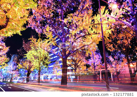 [Osaka Prefecture] Midosuji Illumination 132177881