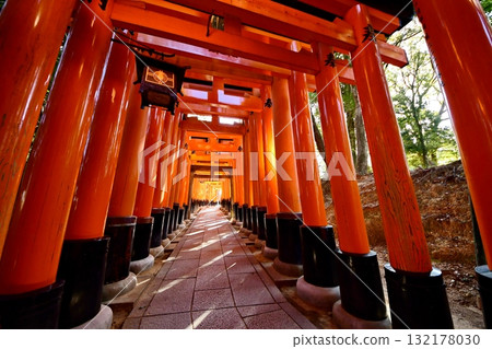Kyoto Prefecture, Fushimi Inari Taisha Shrine, Senbon Torii (near the entrance), Fukakusa Yabunouchicho, Fushimi Ward, Kyoto City, February 2022 132178030