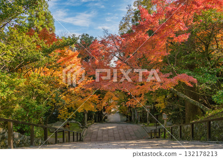 Arashiyama Kyoto Japan, Horinji walkway in autumn season Arashiyama Kyoto Japan, Horinji walkway in autumn season 132178213