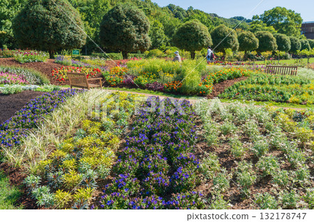 岐阜世界玫瑰園的秋季花圃（岐阜縣可兒市） 132178747