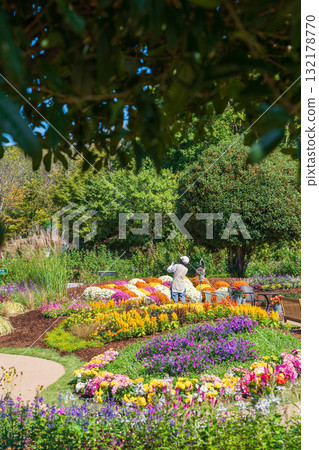 岐阜世界玫瑰園的秋季花圃（岐阜縣可兒市） 132178770