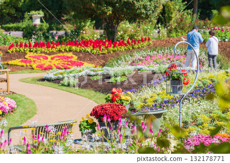 岐阜世界玫瑰園的秋季花圃（岐阜縣可兒市） 132178771