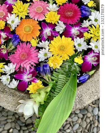 愛知縣岡崎市菅尾神社十月的彩色花水盆(非洲菊、野豌豆、薑黃、龍膽、菊花) 愛知縣岡崎市菅尾神社十月的彩色花水盆(非洲菊、野豌豆、薑黃、龍膽、菊花) 132178879