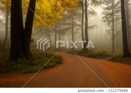beautiful landscape of autumn forest at sunset, yellow trees and sunlight beautiful landscape of autumn forest at sunset, yellow trees and sunlight 132179886