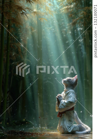 bamboo thicket, cat, pussy 132180071