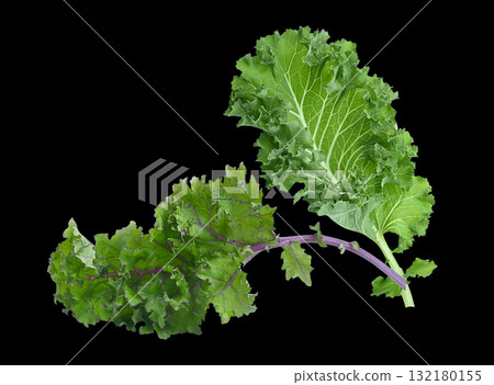 Fresh green and purple curl kale leaf isolated on black background. Fresh green and purple curl kale leaf isolated on black background. 132180155