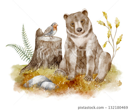 Bear with stump watercolor illustration. Illustration of forest animal with bird and plants in autumn forest. Art of woodland creature for children greeting cards, baby invitations or nursery poster. 132180469