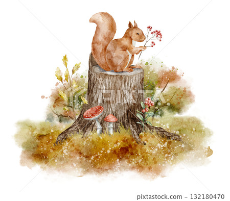 Watercolor illustration of Squirrel sitting on stump with mushrooms and foliage. Drawing of forest animal with fungus and fall leaves for nursery posters. Art for baby greeting cards or invitations. 132180470
