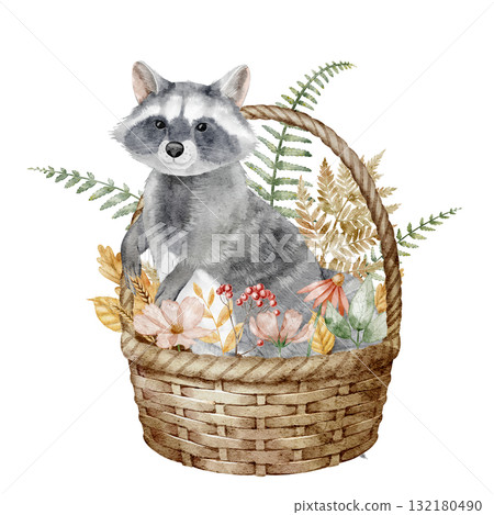Watercolor Raccoon sitting in Basket with forest flowers, autumn plants and berry. Illustration of woodland animal for childish greeting cards or invitations. Drawing for nursery posters. 132180490