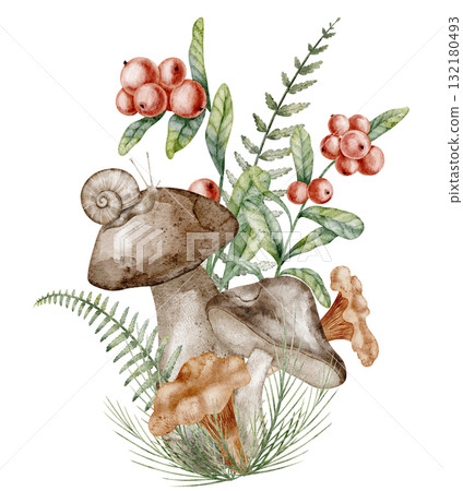 Watercolor illustration of forest mushrooms with foliage and berries. Drawing of Boletus and cranberry for autumn botanical designs. Art of isolated woodland Fungus with red berries and snail. 132180493