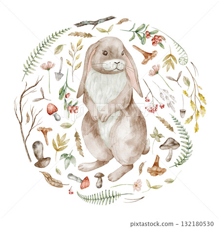 Hare watercolor illustration surrounded by woodland elements including mushrooms, leaves, and berries. Drawing of Rabbit with autumn plants for nursery poster or childish greeting cards and invites. Hare watercolor illustration surrounded by woodland elements including mushrooms, leaves, and berries. Drawing of Rabbit with autumn plants for nursery poster or childish greeting cards and invites. 132180530