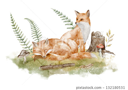 Watercolor illustration of Foxes in autumn forest setting with stump, mushrooms and foliage. Drawing of Woodland animals for children greeting cards and invitations. Art for nursery posters. Watercolor illustration of Foxes in autumn forest setting with stump, mushrooms and foliage. Drawing of Woodland animals for children greeting cards and invitations. Art for nursery posters. 132180531