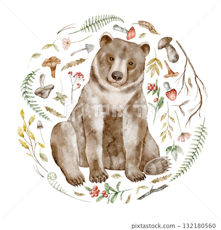 Brown Bear surrounded by forest elements Watercolor illustration. Drawing of forest animal with mushrooms, leaves, and berries in circle for Baby invitations or childish woodland greeting cards. 132180560