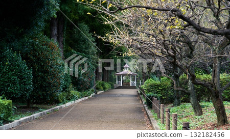 公園的人行道 132182456
