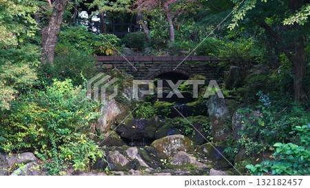 公園的橋 公園的橋 132182457