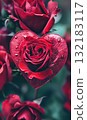 beautiful red rose flower bouquet in heart shape, valentine day and love concept, romantic pink background 132183117