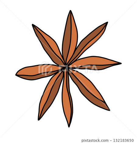 Star anise, a spice pod with seeds, a brown spice for cooking and design Star anise, a spice pod with seeds, a brown spice for cooking and design 132183650