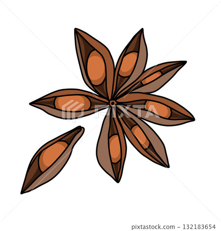 A fragrant star anise with seeds and a broken petal, rich brown in color, outline illustration A fragrant star anise with seeds and a broken petal, rich brown in color, outline illustration 132183654
