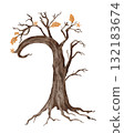 Watercolor spooky tree with autumn leaves. Hand painted Halloween design element perfect for card, invitation, or fall illustration. For autumn or nature themes. 132183674