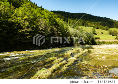 Beautiful Natural Background with Forest River in Summer Beautiful Natural Background with Forest River in Summer 132183681