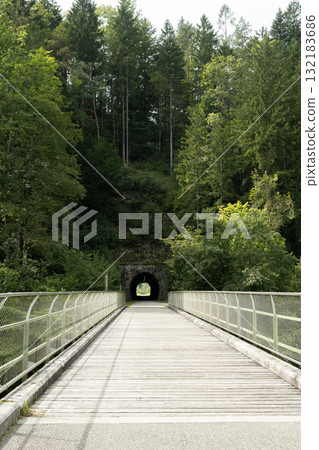 Scenic Forest Road with Tunnel Entrance in Nature Scenic Forest Road with Tunnel Entrance in Nature 132183686