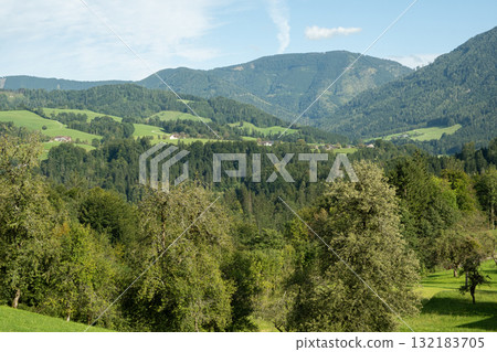 Beautiful Mountain Landscape with Green Woods 132183705