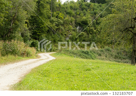 Peaceful Summer Landscape with Path and Forest 132183707