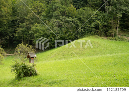 Small Wooden Chapel in the Forest, Secluded Woodland Church Small Wooden Chapel in the Forest, Secluded Woodland Church 132183709